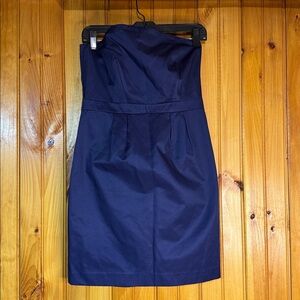 Limited Edition Elegant Strapless Dress in Rich Purple/Blue